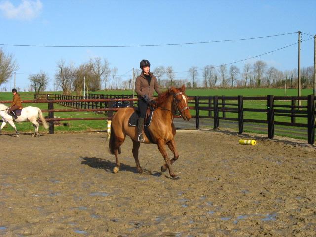 Galop 1 08 mars 2008 phot 6.jpg